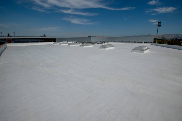 Best Asphalt Shingle Roofing  in Wamac, IL
