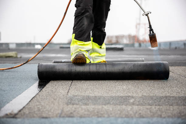 Best Roof Moss and Algae Removal  in Wamac, IL