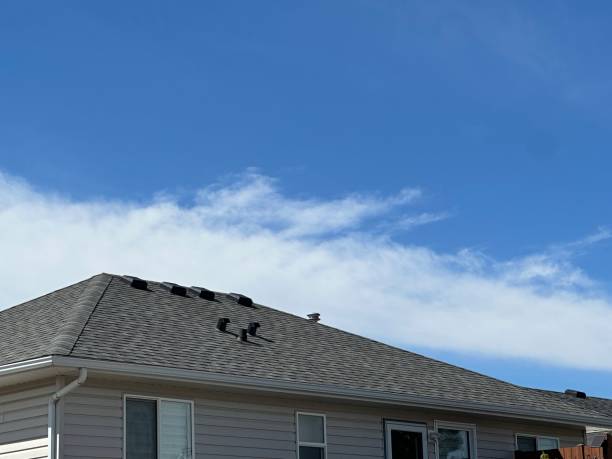 Gutter Replacement in Wamac, IL