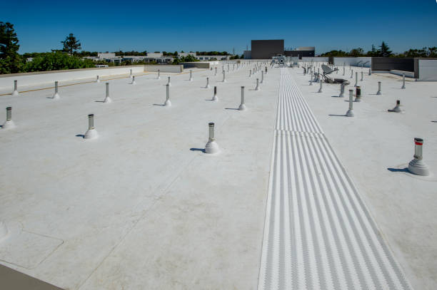 Best Roof Moss and Algae Removal  in Wamac, IL